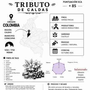 Tributo Amistoso de Caldas
