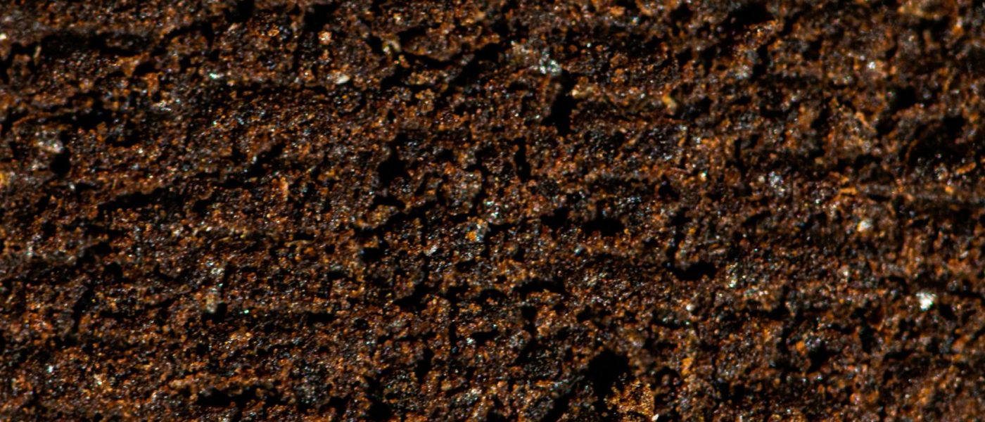 massimo-adami-hHbHMgW58LM-unsplash