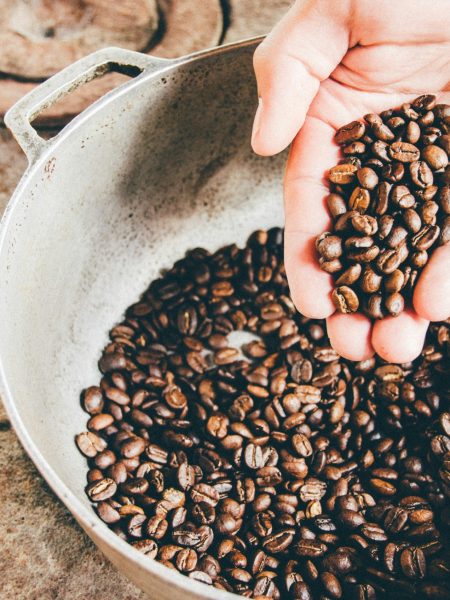 milo-miloezger-rKYRJu0n06Y-unsplash